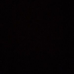 Meet your Posher, Max